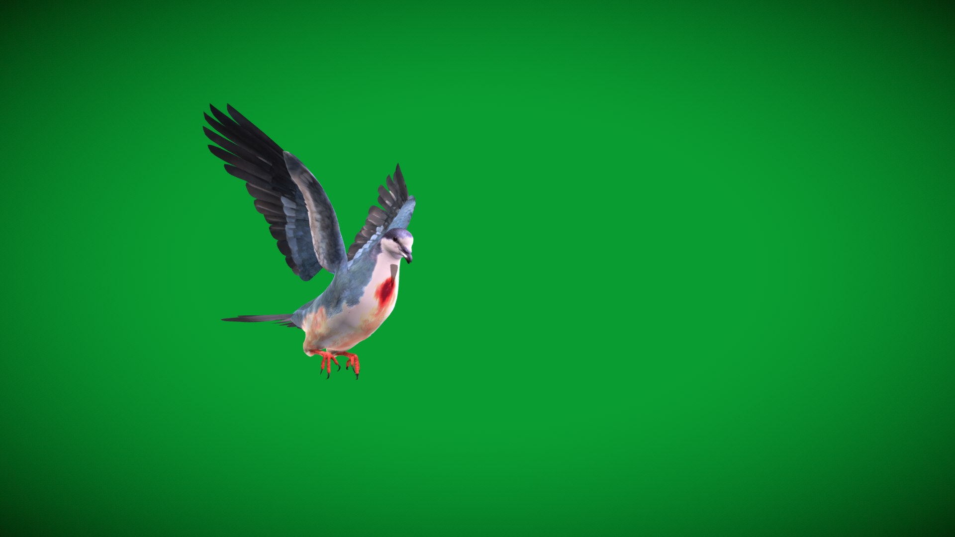 Luzon Bleeding Heart Dove Pigeon Bird 3D https://p.turbosquid.com/ts-thumb/Vv/ELwSK8/07/bleeding_heart_dove1/png/1770665793/1920x1080/fit_q87/54c020b928c6aa29e5484633c0c58a3635b6ef5a/bleeding_heart_dove1.jpg