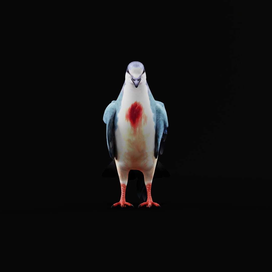 Luzon Bleeding Heart Dove Pigeon Bird 3D https://p.turbosquid.com/ts-thumb/Vv/ELwSK8/1F/luzonbleedingheartdovearmature/jpg/1770665784/1920x1080/fit_q87/d7e89fdf9c1b350ebd909b56098856bc8c85af9a/luzonbleedingheartdovearmature.jpg
