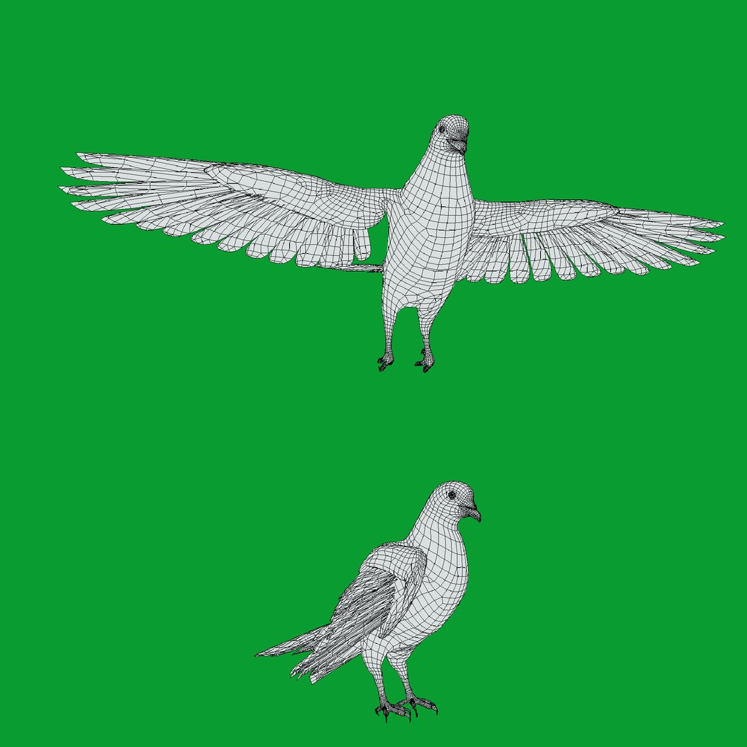 Luzon Bleeding Heart Dove Pigeon Bird 3D https://p.turbosquid.com/ts-thumb/Vv/ELwSK8/5v/wire/png/1770665835/1920x1080/fit_q87/437aadbd56005f7c11615191be514f253c6d9d11/wire.jpg