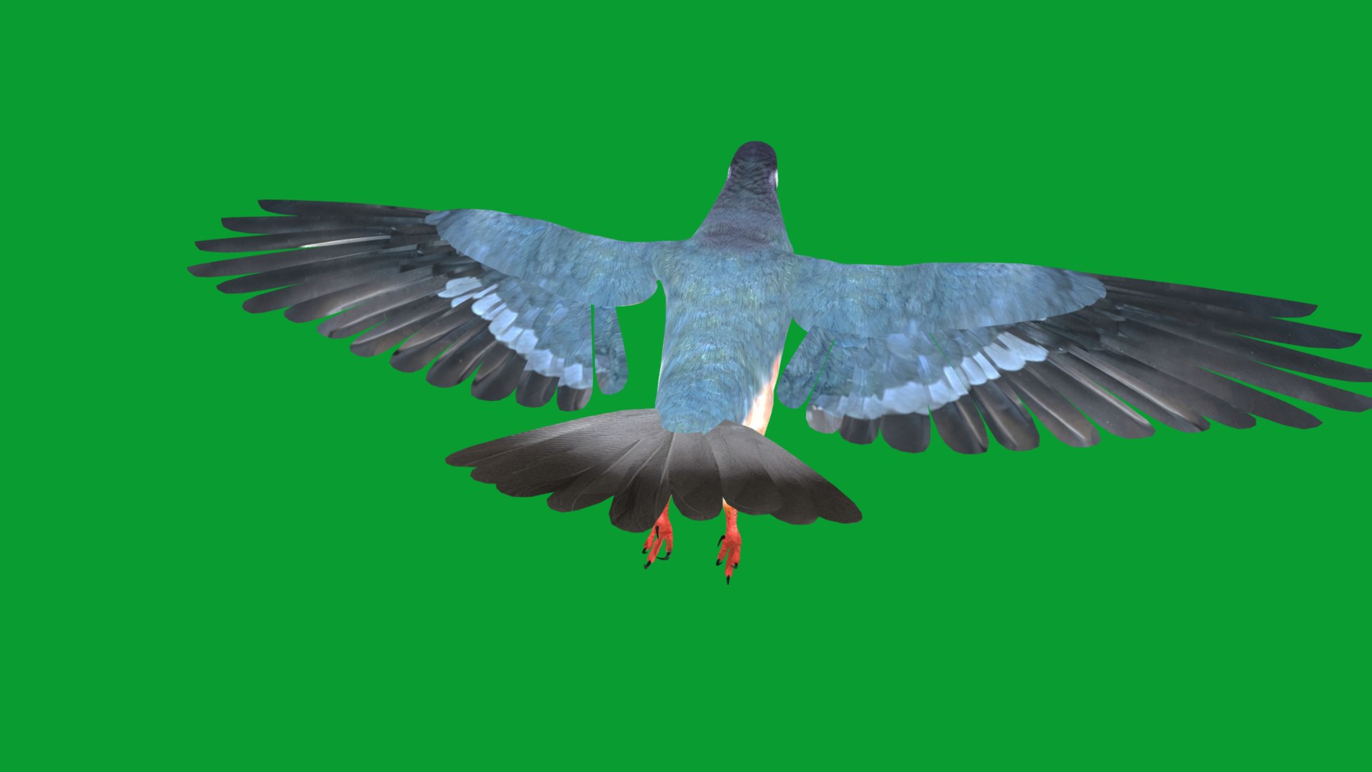 Luzon Bleeding Heart Dove Pigeon Bird 3D https://p.turbosquid.com/ts-thumb/Vv/ELwSK8/bC/bleeding_heart_dove10/png/1770665803/1920x1080/fit_q87/ebf78414fac3eef121975a177e2a621e3d96c7e3/bleeding_heart_dove10.jpg