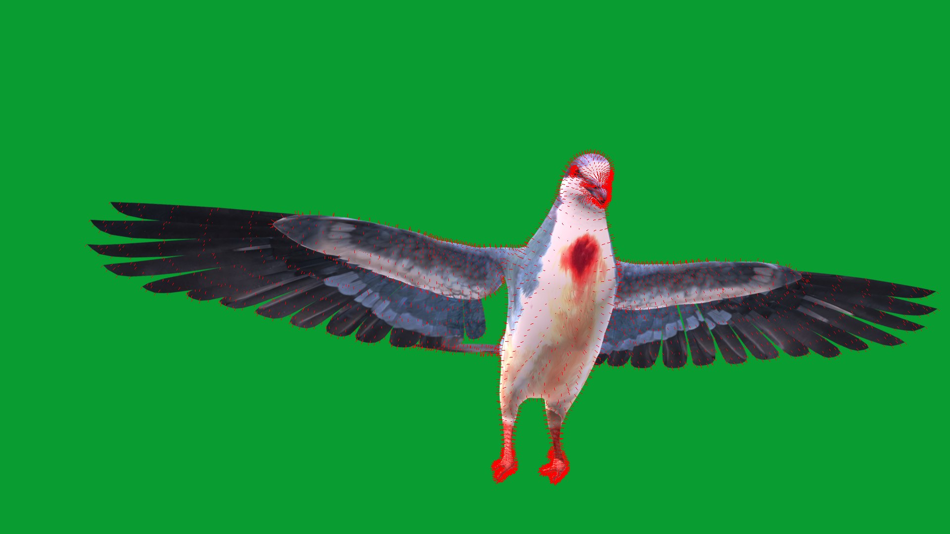 Luzon Bleeding Heart Dove Pigeon Bird 3D https://p.turbosquid.com/ts-thumb/Vv/ELwSK8/sf/bleeding_heart_dove24/png/1770665827/1920x1080/fit_q87/4eeacaee9c39e595bef0c5c5d7534e97d3e68c18/bleeding_heart_dove24.jpg
