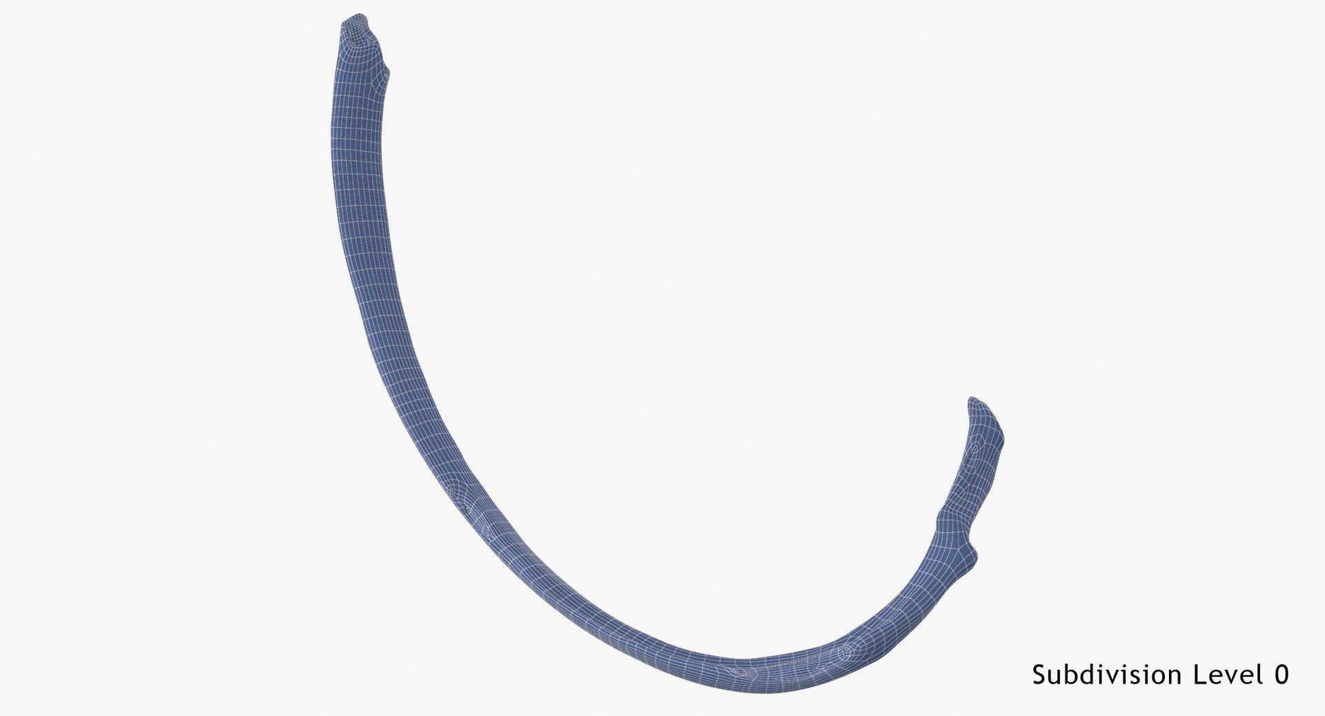 3D costae verae rib 03 https://p.turbosquid.com/ts-thumb/Vv/I8SNWd/BTNjW6AT/costae_verae_rib_03_wsubdiv0_0001/jpg/1587976779/1920x1080/fit_q87/cac677bcd28cfdce5c5930f97ef5010a8c65875e/costae_verae_rib_03_wsubdiv0_0001.jpg