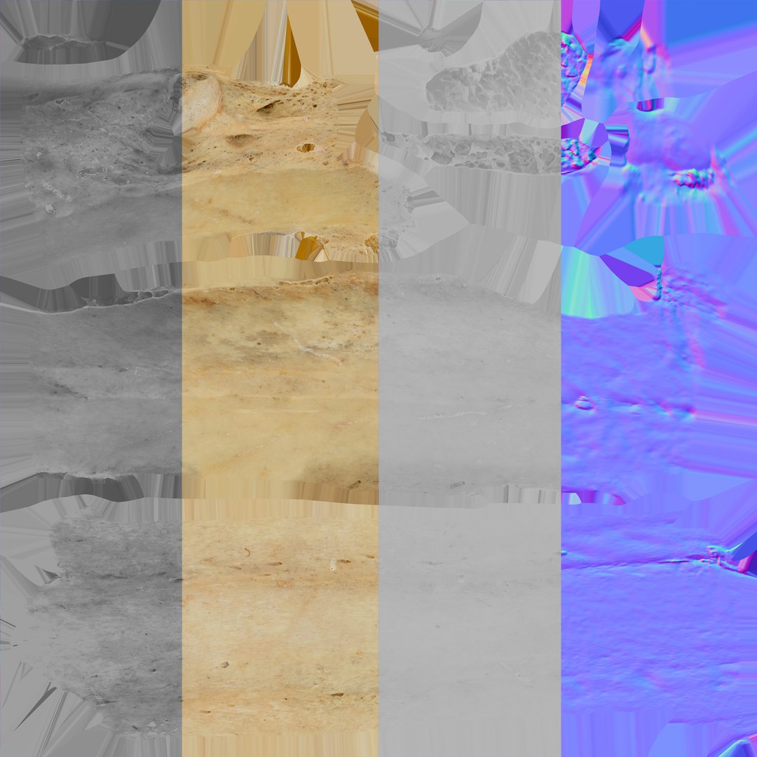 3D costae verae rib 03 https://p.turbosquid.com/ts-thumb/Vv/I8SNWd/JujMi5NB/costae_verae_rib_03_wtextures/jpg/1587976779/1920x1080/fit_q87/c75e72cde344b1b8309472d31f0d651a1f002e3b/costae_verae_rib_03_wtextures.jpg