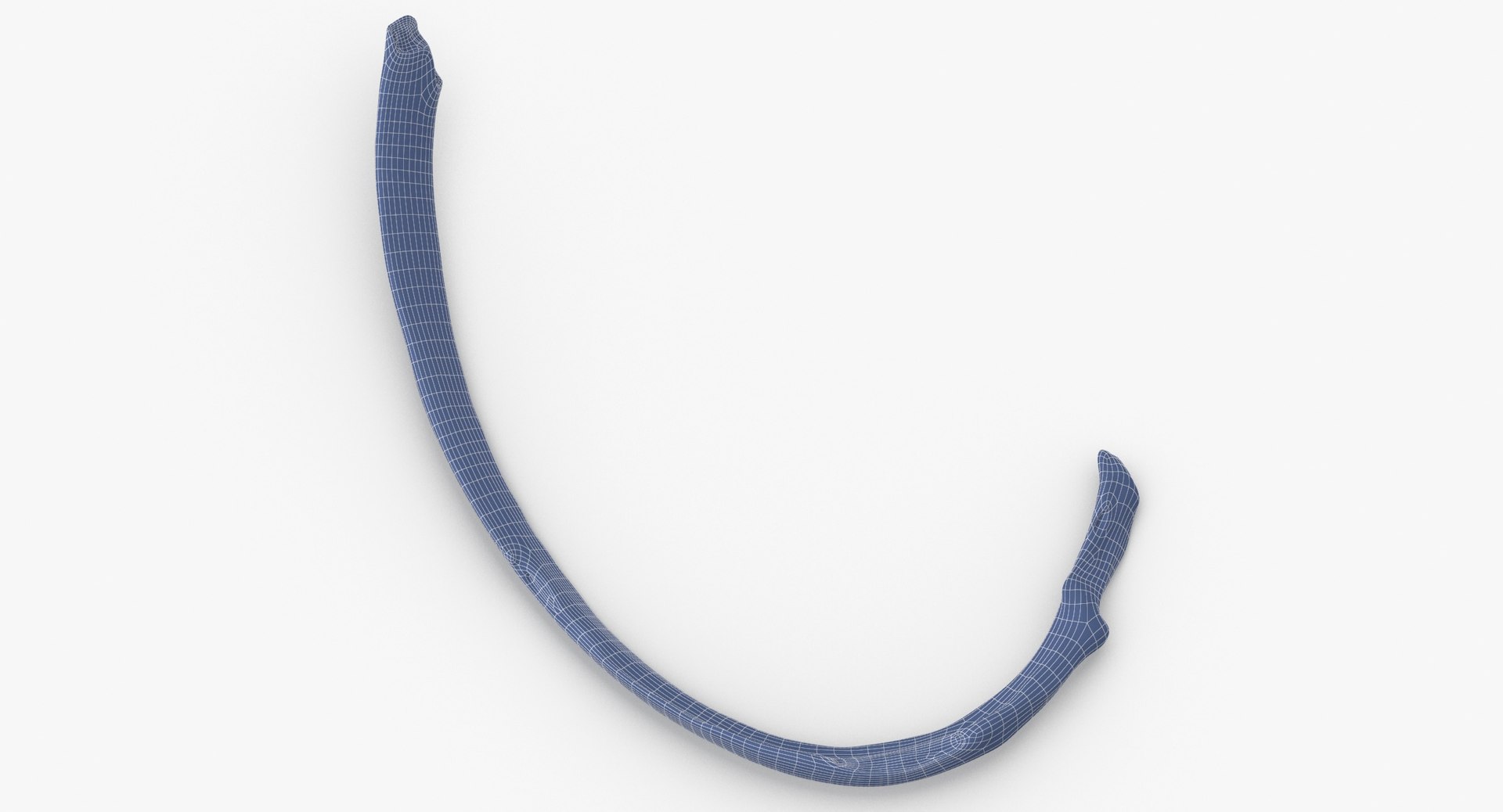 3D costae verae rib 03 https://p.turbosquid.com/ts-thumb/Vv/I8SNWd/cLOxKv5U/costae_verae_rib_03_wireframe_0002/jpg/1587976779/1920x1080/fit_q87/759a66710799328dacfdecdcd4cd126c2b752115/costae_verae_rib_03_wireframe_0002.jpg