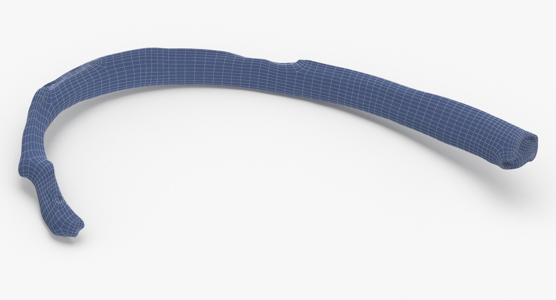 3D costae verae rib 03 https://p.turbosquid.com/ts-thumb/Vv/I8SNWd/hh12Hd8J/costae_verae_rib_03_wireframe_0004/jpg/1587976779/1920x1080/fit_q87/7603685bbe8063951f77aaab9c6860428b77bdf5/costae_verae_rib_03_wireframe_0004.jpg
