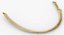 Real Costae Verae Rib 03