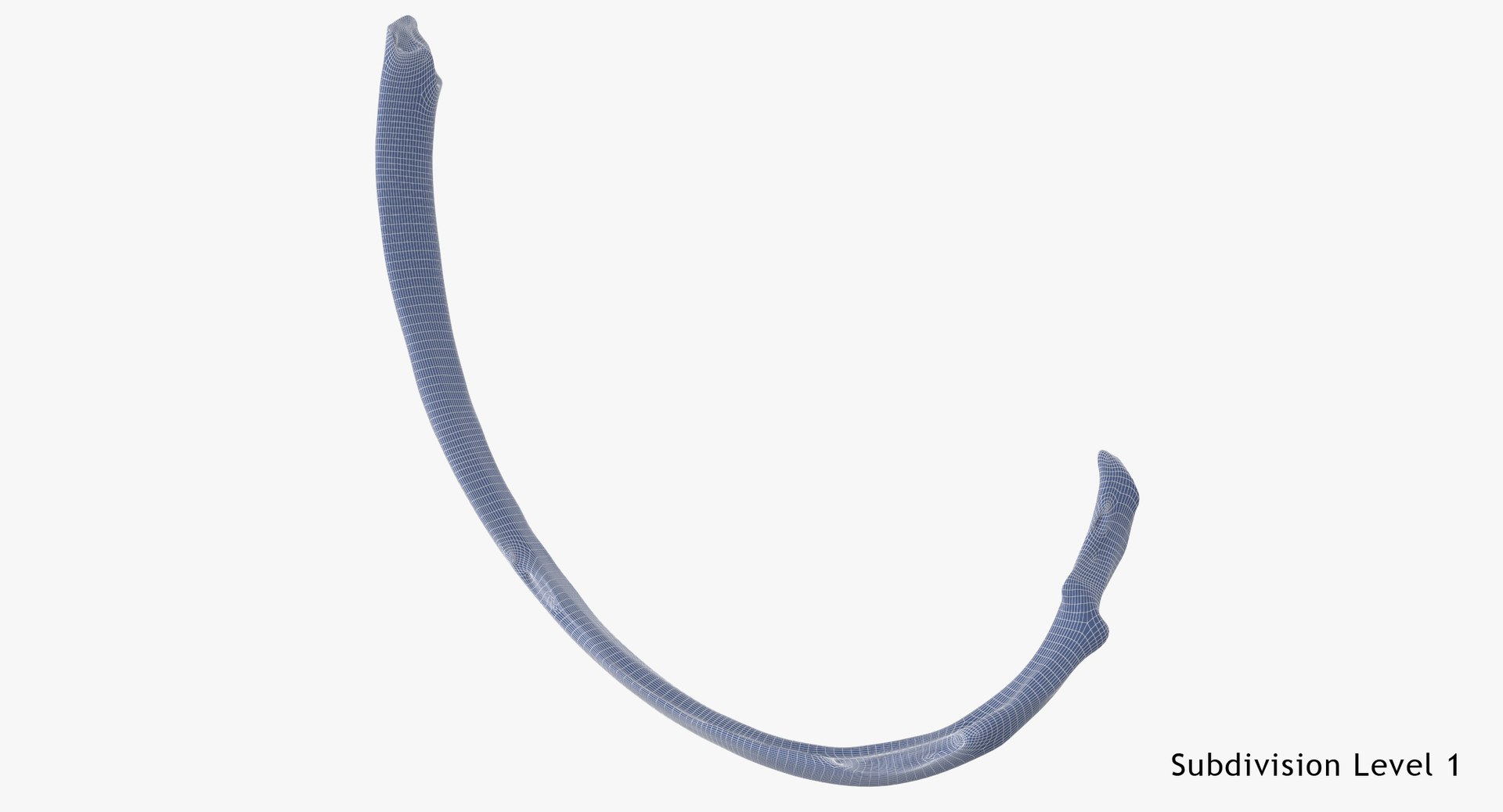 3D costae verae rib 03 https://p.turbosquid.com/ts-thumb/Vv/I8SNWd/pCdvYoWH/costae_verae_rib_03_wsubdiv1_0001/jpg/1587976779/1920x1080/fit_q87/7b7d87dfc1b50ea290855e997c47592a97aa746e/costae_verae_rib_03_wsubdiv1_0001.jpg
