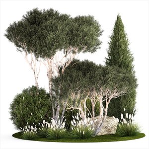 3D beautiful plants alpine hill pine bonsai bushes grass 1339 model