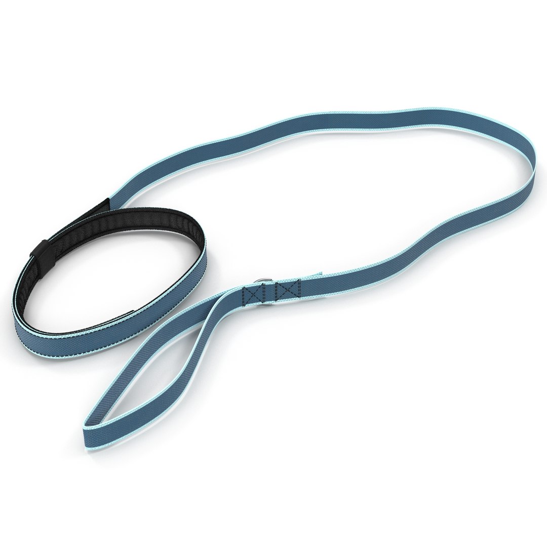 Dog Leash 3D model preview