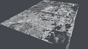 3D Cityscape  Miami Florida USA model