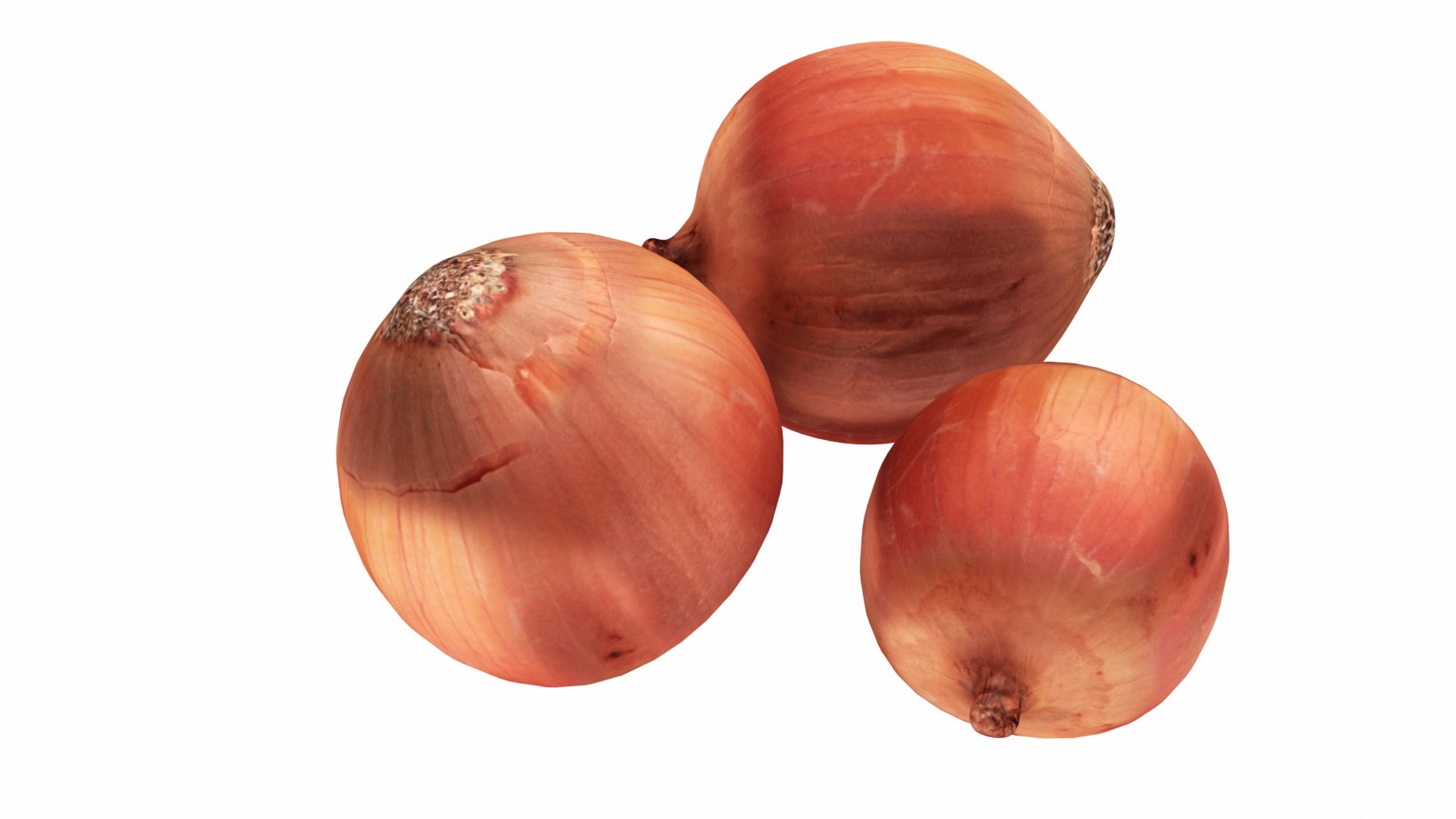 3D onion https://p.turbosquid.com/ts-thumb/Vv/QzGgrB/HrJFyYtl/0onion2/jpg/1586809304/1920x1080/fit_q87/b982e5c78c677c781492ebdde3a708c43d22e607/0onion2.jpg