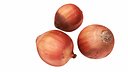 Onion
