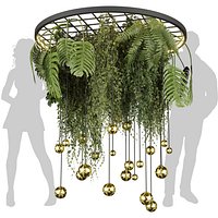 Collection plant vol 611 - Hanging - Pothos - Fern - Chandelier - Ampelous