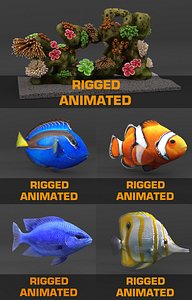 coral reef and fishes