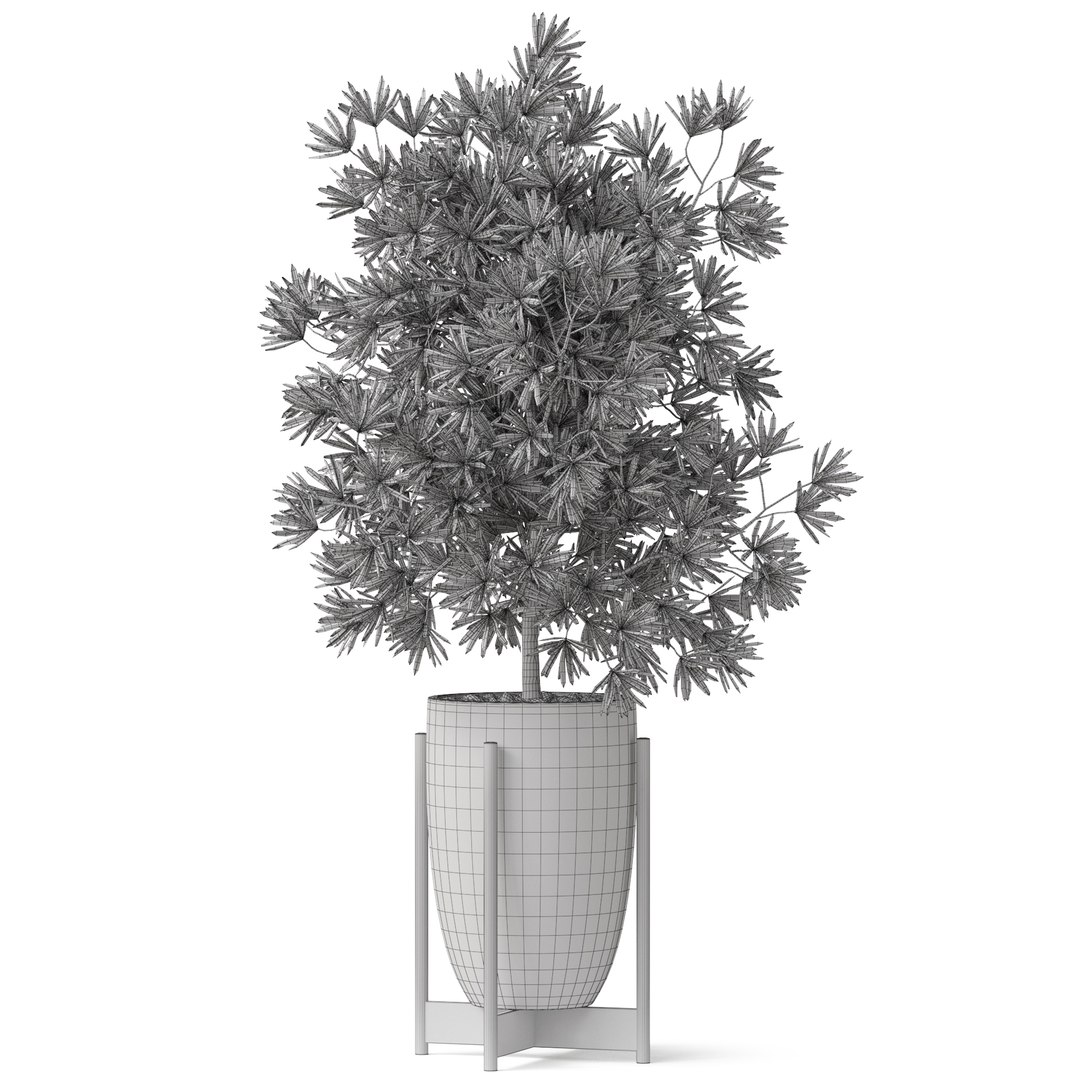 Plants collection 853 3D model https://p.turbosquid.com/ts-thumb/Vv/jCJOb1/j7/plant_853_04/jpg/1670063282/1920x1080/fit_q87/910693c41b15af30e73b012610609c47f06b3625/plant_853_04.jpg