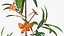 Branches with Flowers Collection 2