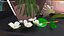 Branches with Flowers Collection 2
