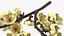 Branches with Flowers Collection 2