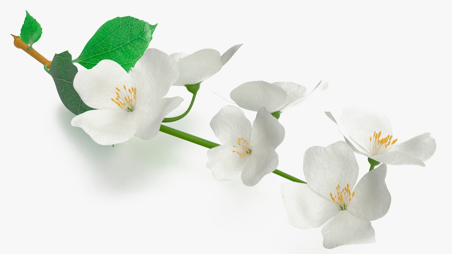 3D Branches with Flowers Collection 2 model https://p.turbosquid.com/ts-thumb/Vv/qU8Tt7/3l/brancheswithflowerscollection23dsmodel022/jpg/1711224666/1920x1080/fit_q87/30ff3bacbf2dba2aa71714062284c4fd609335b0/brancheswithflowerscollection23dsmodel022.jpg