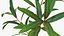 Branches with Flowers Collection 2