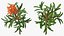 Branches with Flowers Collection 2