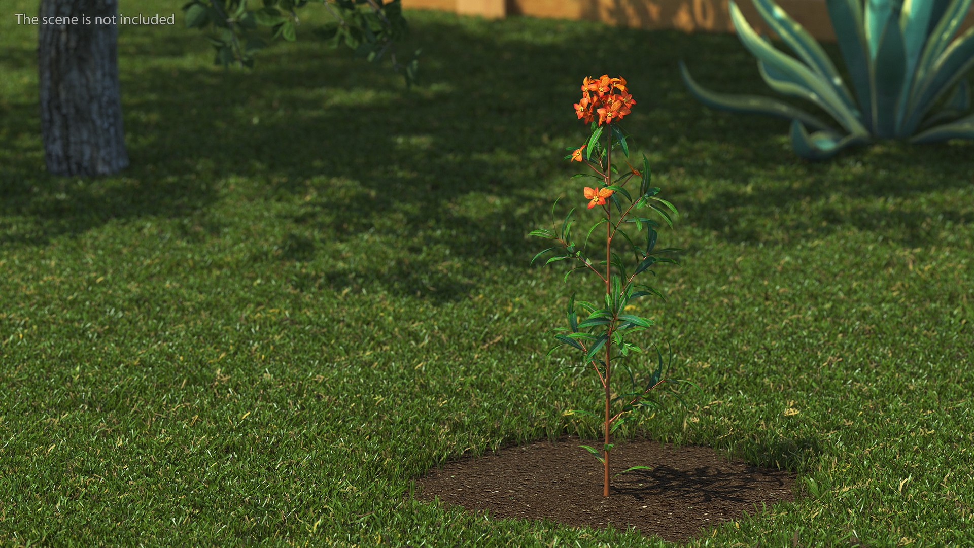 3D Branches with Flowers Collection 2 model https://p.turbosquid.com/ts-thumb/Vv/qU8Tt7/6x/brancheswithflowerscollection23dsmodel002/jpg/1711224575/1920x1080/fit_q87/edde5f25bcff23db5a5b2f0bc98b601d03c92869/brancheswithflowerscollection23dsmodel002.jpg