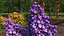 Branches with Flowers Collection 2