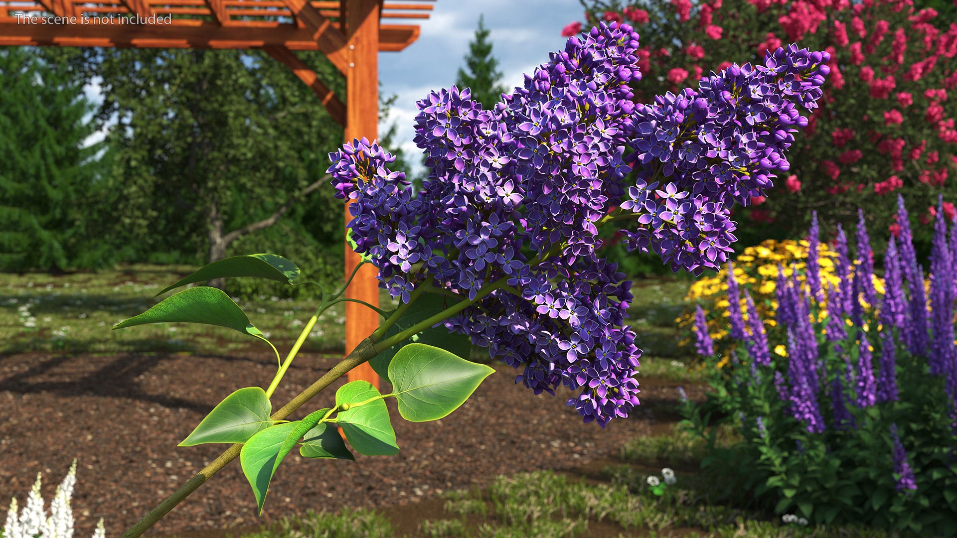 3D Branches with Flowers Collection 2 model https://p.turbosquid.com/ts-thumb/Vv/qU8Tt7/Fi/brancheswithflowerscollection23dsmodel025/jpg/1711224679/1920x1080/fit_q87/c546250537f7a0eadc085cd80db781c3e4ff11ab/brancheswithflowerscollection23dsmodel025.jpg