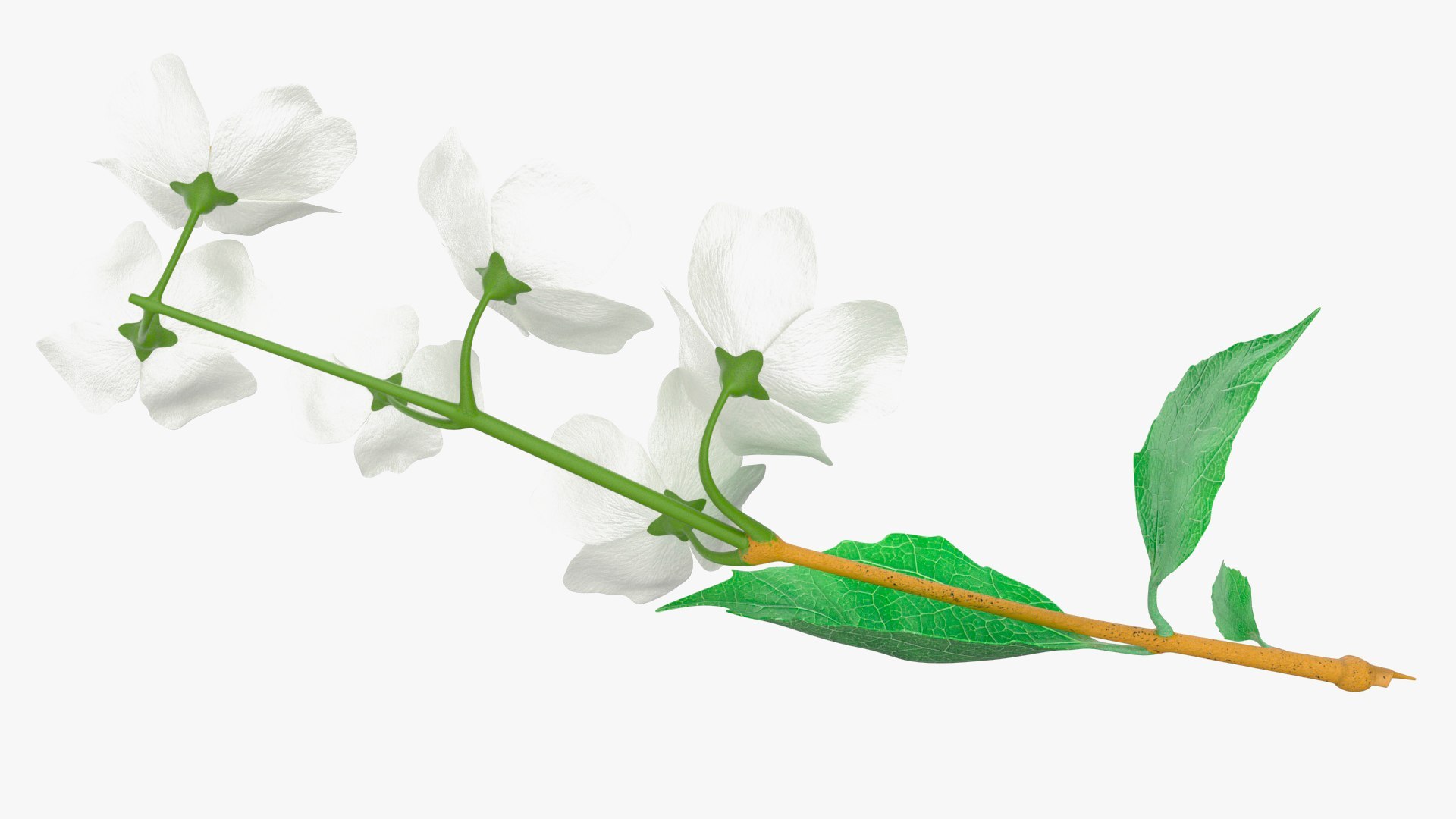 3D Branches with Flowers Collection 2 model https://p.turbosquid.com/ts-thumb/Vv/qU8Tt7/G7/brancheswithflowerscollection23dsmodel023/jpg/1711224670/1920x1080/fit_q87/d995552c34d541d31760ec92a801b190aed6b090/brancheswithflowerscollection23dsmodel023.jpg