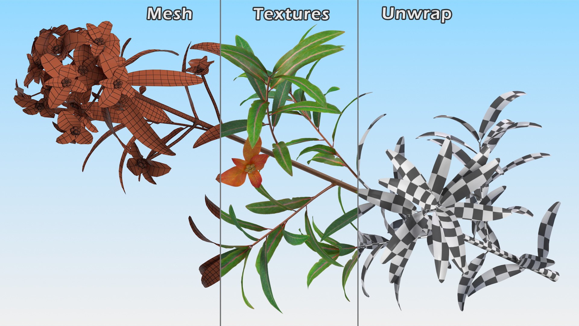 3D Branches with Flowers Collection 2 model https://p.turbosquid.com/ts-thumb/Vv/qU8Tt7/Mu/brancheswithflowerscollection23dsmodel007/jpg/1711224599/1920x1080/fit_q87/9c1735fb1edc95edf2f56a1abb7db0930a40d886/brancheswithflowerscollection23dsmodel007.jpg