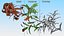 Branches with Flowers Collection 2