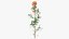 Branches with Flowers Collection 2