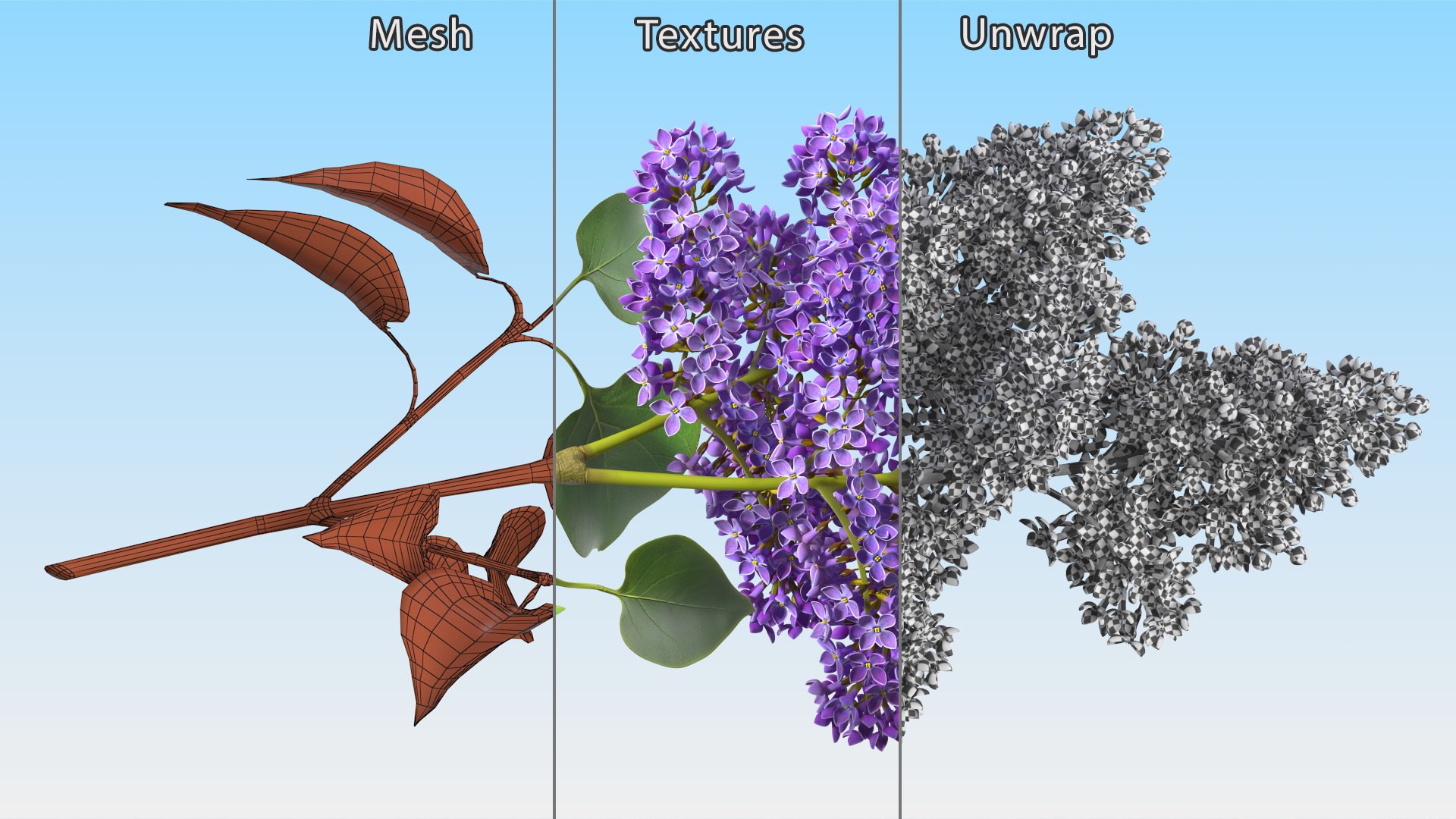 3D Branches with Flowers Collection 2 model https://p.turbosquid.com/ts-thumb/Vv/qU8Tt7/Ok/brancheswithflowerscollection23dsmodel032/jpg/1711224714/1920x1080/fit_q87/c32ee17e3c498debe870e977014a9d36276c8e38/brancheswithflowerscollection23dsmodel032.jpg