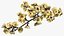 Branches with Flowers Collection 2