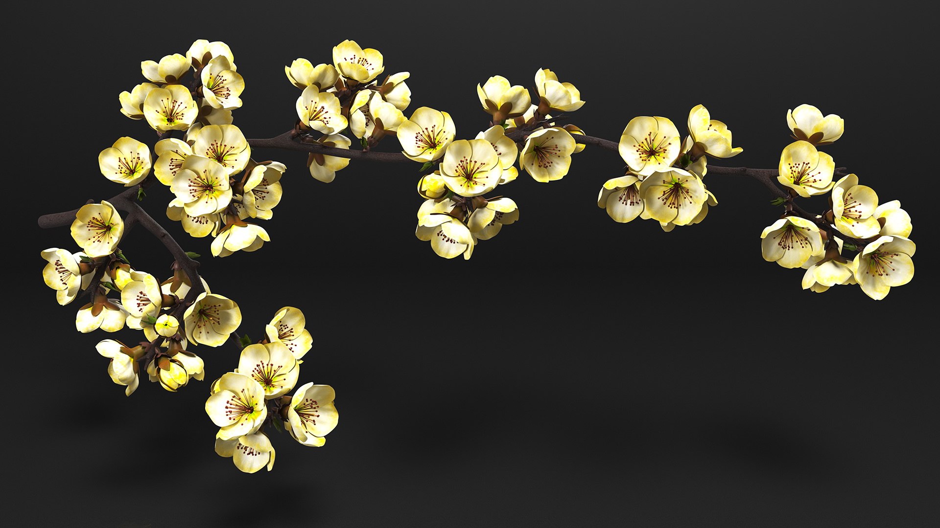3D Branches with Flowers Collection 2 model https://p.turbosquid.com/ts-thumb/Vv/qU8Tt7/Ri/brancheswithflowerscollection23dsmodel043/jpg/1711224764/1920x1080/fit_q87/a74db19398534f3b7cc477621966807844c930f4/brancheswithflowerscollection23dsmodel043.jpg