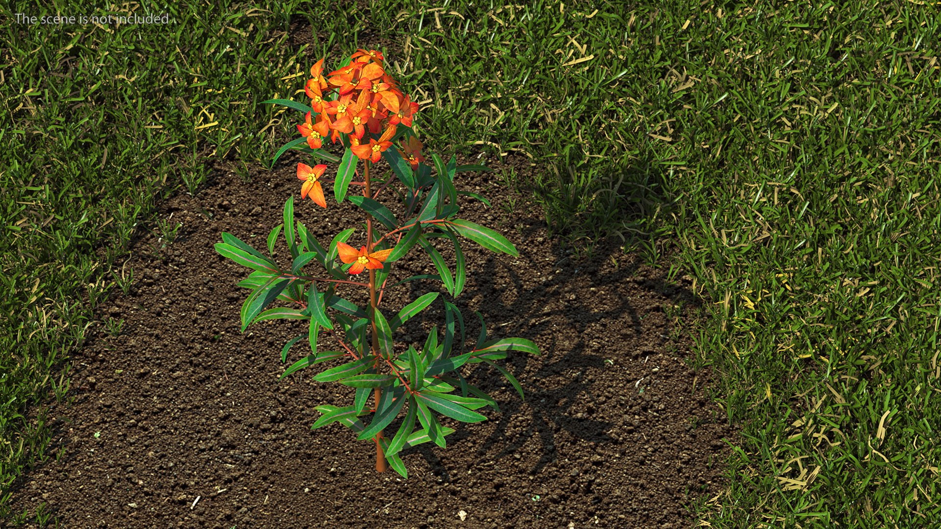 3D Branches with Flowers Collection 2 model https://p.turbosquid.com/ts-thumb/Vv/qU8Tt7/U2/brancheswithflowerscollection23dsmodel003/jpg/1711224580/1920x1080/fit_q87/ea9a292d25883aefcc4af3fe02b1acac64eb75a7/brancheswithflowerscollection23dsmodel003.jpg