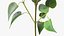 Branches with Flowers Collection 2