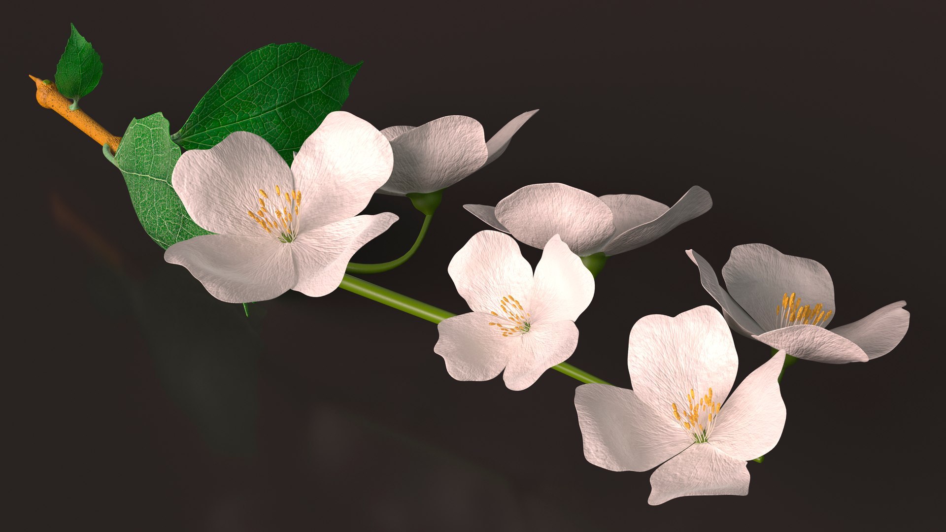 3D Branches with Flowers Collection 2 model https://p.turbosquid.com/ts-thumb/Vv/qU8Tt7/W4/brancheswithflowerscollection23dsmodel017/jpg/1711224646/1920x1080/fit_q87/2f38cf72366f6639aaf7d385fb1fa3c4e488aa2c/brancheswithflowerscollection23dsmodel017.jpg
