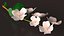Branches with Flowers Collection 2