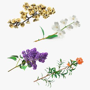 3D Branches with Flowers Collection 2 model