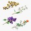 Branches with Flowers Collection 2