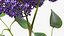 Branches with Flowers Collection 2