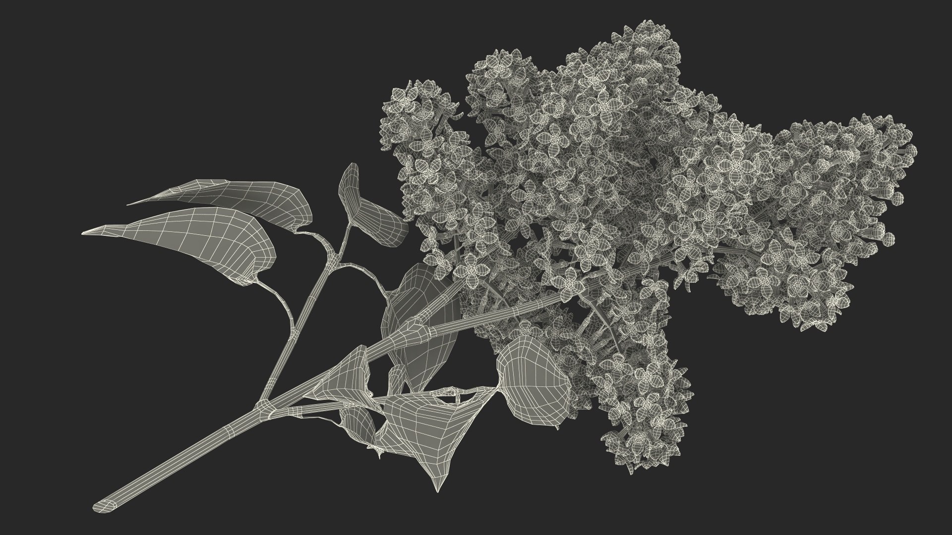3D Branches with Flowers Collection 2 model https://p.turbosquid.com/ts-thumb/Vv/qU8Tt7/Y4/brancheswithflowerscollection23dsmodel056/jpg/1711224822/1920x1080/fit_q87/b1fdf4e9a0b81357810955b47a70629986db85b3/brancheswithflowerscollection23dsmodel056.jpg