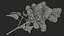 Branches with Flowers Collection 2
