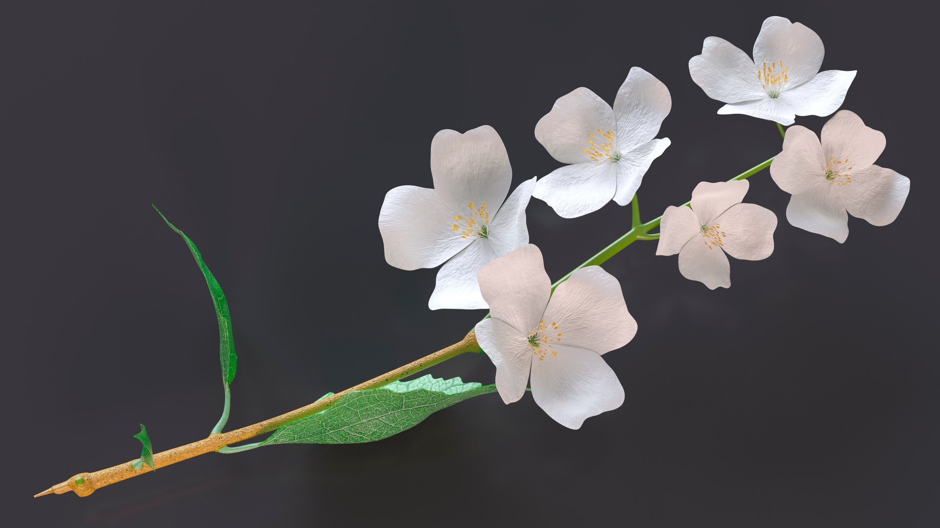 3D Branches with Flowers Collection 2 model https://p.turbosquid.com/ts-thumb/Vv/qU8Tt7/aN/brancheswithflowerscollection23dsmodel018/jpg/1711224650/1920x1080/fit_q87/fd917cd55c0306e39976c2b7ccc9e47043be961d/brancheswithflowerscollection23dsmodel018.jpg