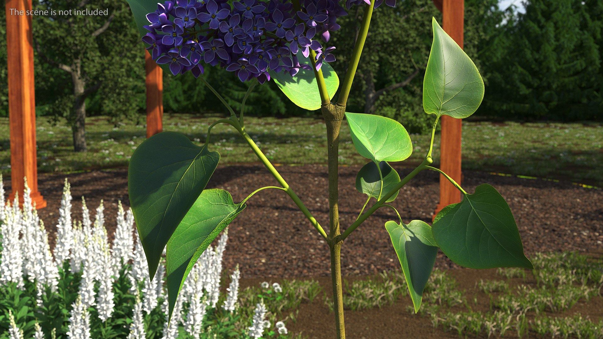 3D Branches with Flowers Collection 2 model https://p.turbosquid.com/ts-thumb/Vv/qU8Tt7/ap/brancheswithflowerscollection23dsmodel029/jpg/1711224701/1920x1080/fit_q87/8dba882039e3c0ab0154874f79d1991180168af6/brancheswithflowerscollection23dsmodel029.jpg