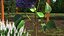 Branches with Flowers Collection 2