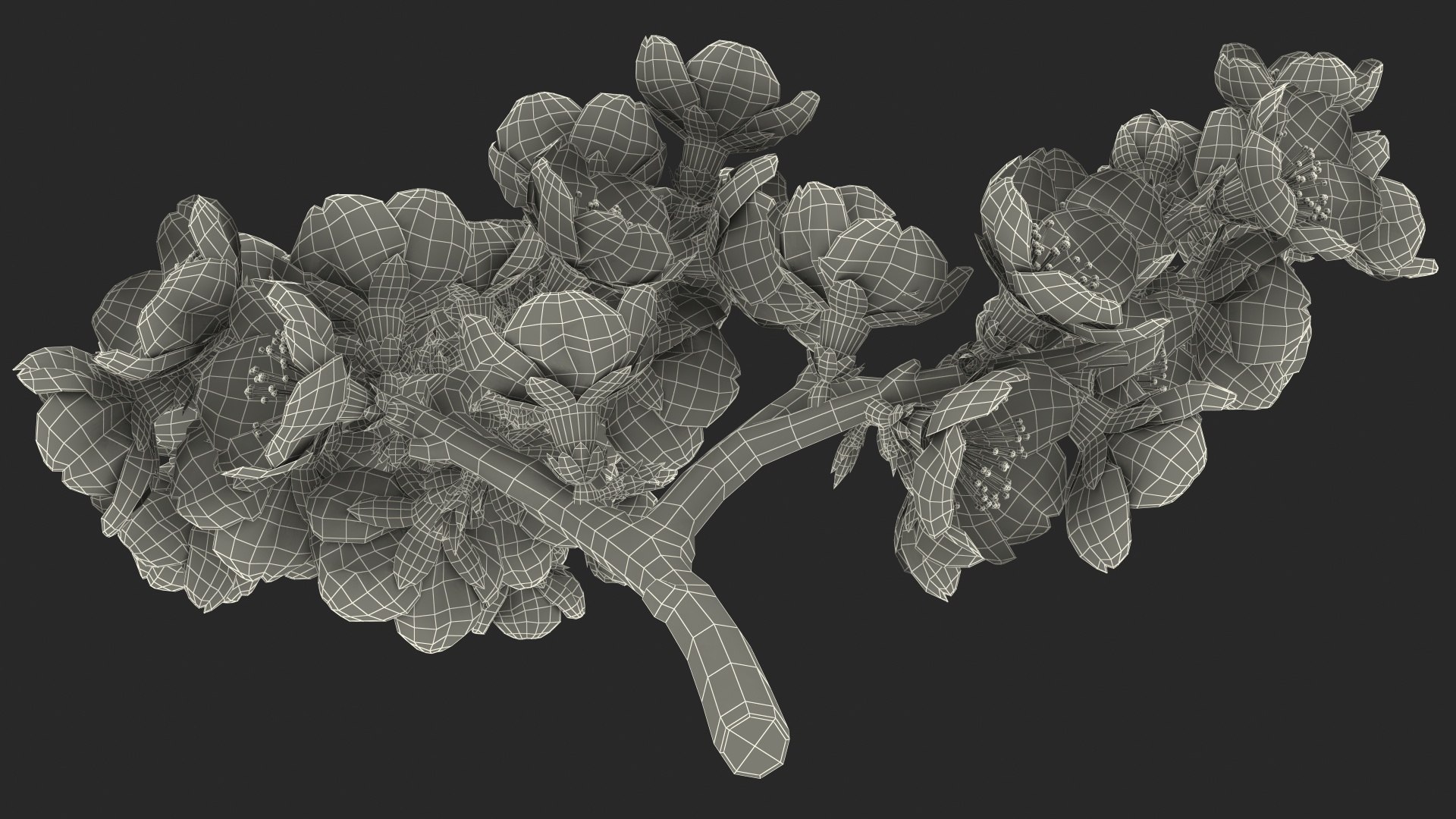 3D Branches with Flowers Collection 2 model https://p.turbosquid.com/ts-thumb/Vv/qU8Tt7/ay/brancheswithflowerscollection23dsmodel057/jpg/1711224827/1920x1080/fit_q87/69f100626e9403d5411fdc89a35e63a58778e22a/brancheswithflowerscollection23dsmodel057.jpg