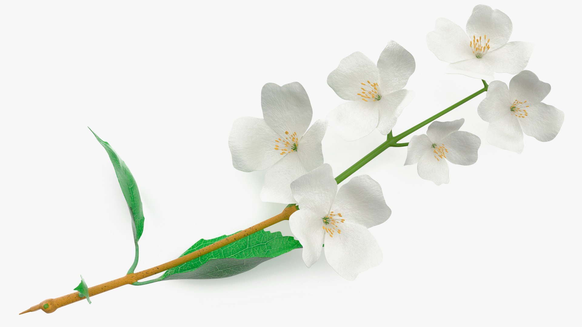 3D Branches with Flowers Collection 2 model https://p.turbosquid.com/ts-thumb/Vv/qU8Tt7/cC/brancheswithflowerscollection23dsmodel020/jpg/1711224658/1920x1080/fit_q87/b6e4587843621385100438f0dbc15cb7f58aef39/brancheswithflowerscollection23dsmodel020.jpg
