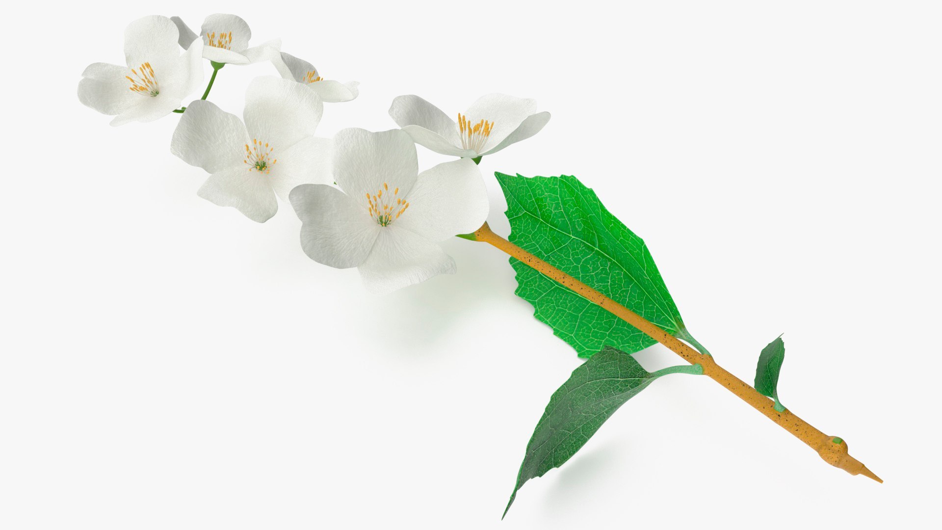 3D Branches with Flowers Collection 2 model https://p.turbosquid.com/ts-thumb/Vv/qU8Tt7/fB/brancheswithflowerscollection23dsmodel021/jpg/1711224662/1920x1080/fit_q87/ca04b846e1578b866d16a6be5d122894590d993f/brancheswithflowerscollection23dsmodel021.jpg
